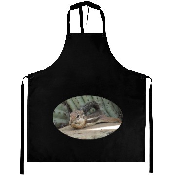 Discover Harris's antelope squirrel Aprons
