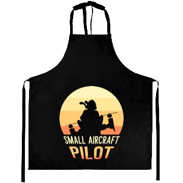 Discover Small Aircraft Pilot Private Small Airplane Aprons