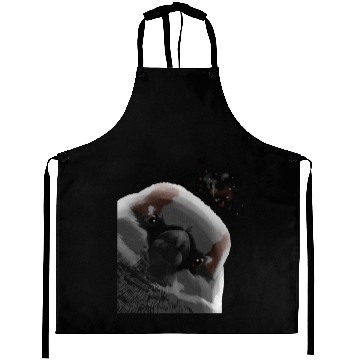 Discover Funny Curious Bird Sparrow Aprons