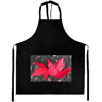 Discover Leaf it to Me Classic Aprons