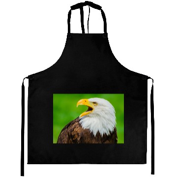 Discover Close-up Profile of a Bald Eagle Screeching Aprons