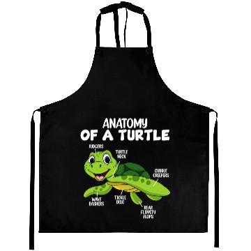 Discover Anatomy Of A Turtle Aprons