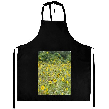 Discover My Photography - Swamp Sunflowers in Texas Aprons