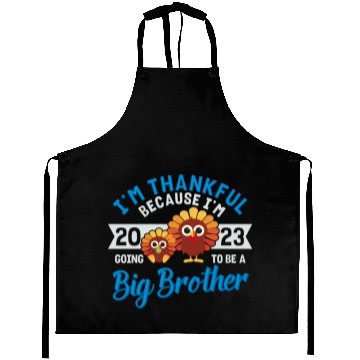 Discover Big Brother 2023 Baby Thanksgiving Turkey Boys Aprons