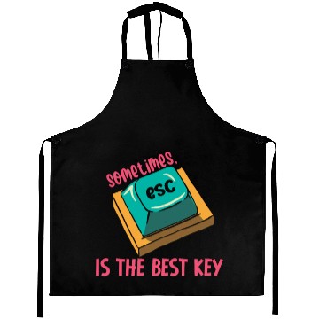 Discover Software Engineer Computer Key Programming Aprons