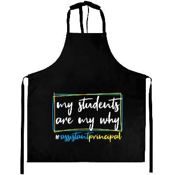Discover Assistant Principal Aprons