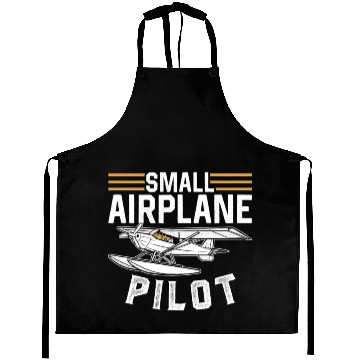 Discover Small Airplane Pilot Aircraft Private Aprons