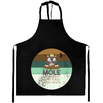 Discover Chemistry Mole Problems Aprons