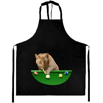 Discover 8 BALL POOL CAT Aprons