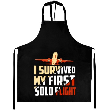 Discover I Survived My First Solo Flight Aviation Aprons