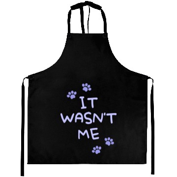 Discover It Wasn't Me Aprons