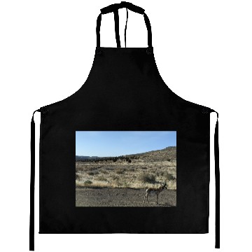 Discover Antelope near Grand Canyon West Aprons