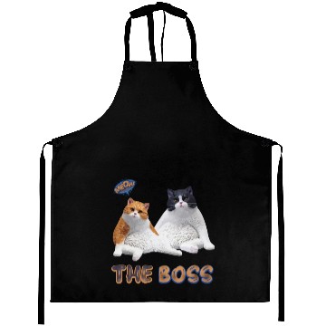 Discover The boss Aprons