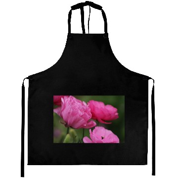 Discover Closeup Deep Peony Pink Ranunculus Aprons
