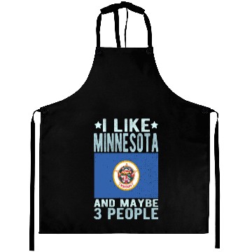 Discover Minnesota Flag US State Aprons