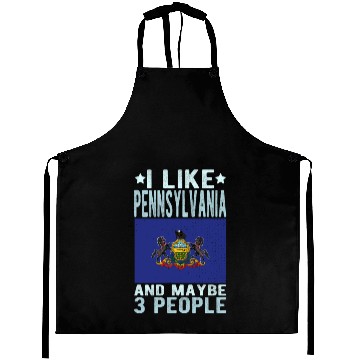 Discover Pennsylvania Flag US State Aprons