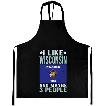 Discover Wisconsin Flag US State Aprons