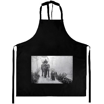 Discover Elephant Mom and Baby In Jungle Safari Aprons