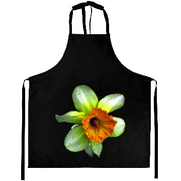 Discover Blooming spring daffodil Aprons