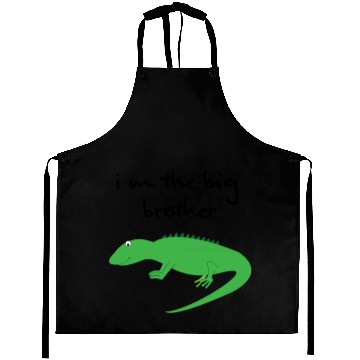 Discover big brother Aprons