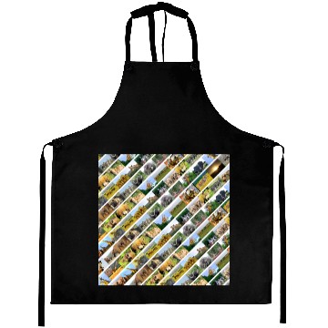 Discover Wildlife Stripe white Collage Aprons