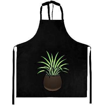 Discover Spider Plant Aprons