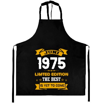 Discover June 1975 Birthday Surprise Aprons