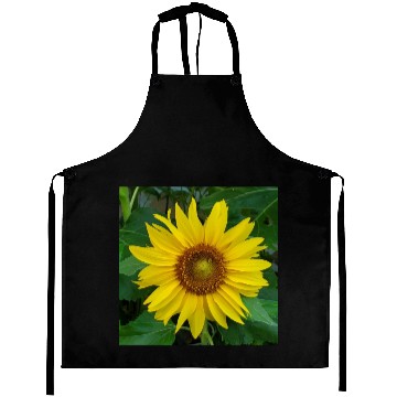 Discover My sunflower Aprons