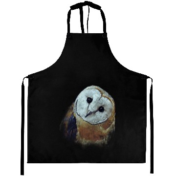 Discover Barn Owl Painting Owl Aprons
