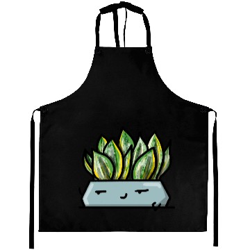 Discover Pocket Plant Sansevieria Aprons