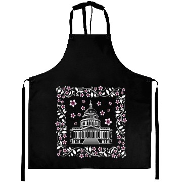 Discover Washington DC Aprons, Capital City White House