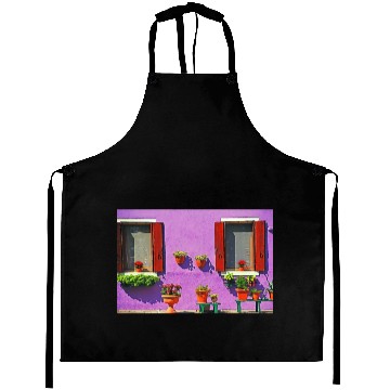 Discover Windows of Venice Italy 1904 Aprons