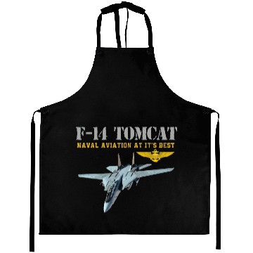 Discover F 14 Tomcat Naval aviation Aprons