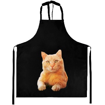 Discover Orange Cat Aprons