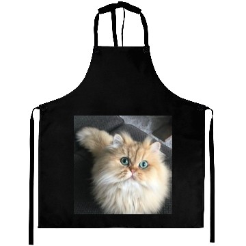 Discover Cat lover Aprons