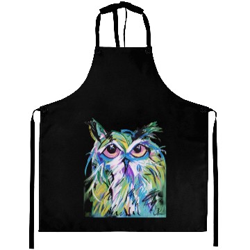 Discover Painted Owl Aprons