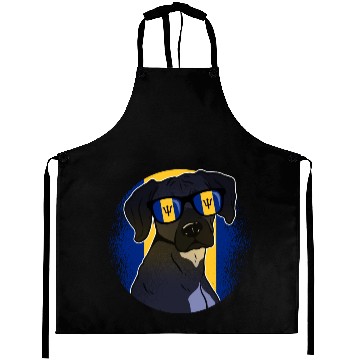 Discover Barbados Aprons