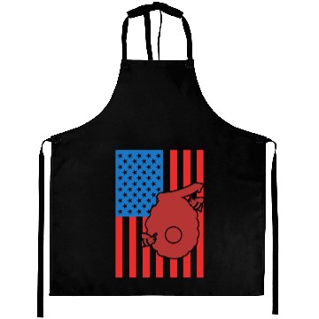 Discover Beekeeping US Flag Aprons