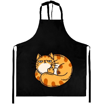 Discover Orange Cat Middle Finger Aprons