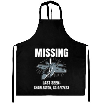 Discover Missing F-35 War Plane Aprons