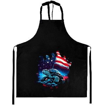Discover America turtle under Moon with American Flag Aprons