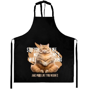 Discover Stretch and Purr: Cat Ready for Exercise Aprons