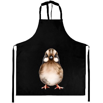 Discover Little Brown BIrd Aprons