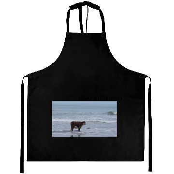 Discover I May Be Stupid Aprons