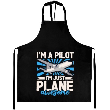 Discover Pilot Aviation Airplane Airline Future Pilots Aprons