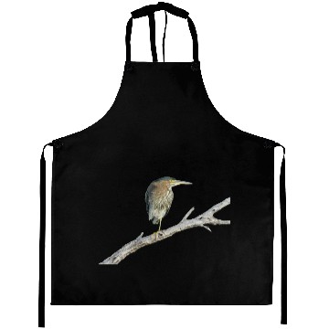 Discover Green Heron Aprons