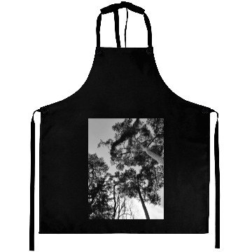 Discover 20230108 142337 Aprons