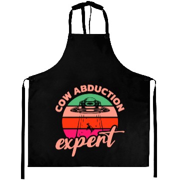 Discover Alien, Aliens, UFO, UAP, Space Unknown Flight Aprons