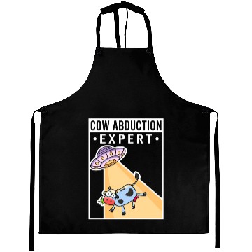 Discover Alien, Aliens, UFO, UAP, Space Unknown Flight Aprons