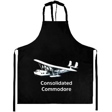 Discover Consolidated Aircraft Aprons